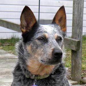 Meet your Posher, Janet